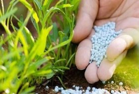 What Are Vertical Farms: Unique Advantages and the Applications of Hydrogels