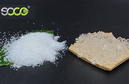 Eucalyptus Cultivation Hydrogel