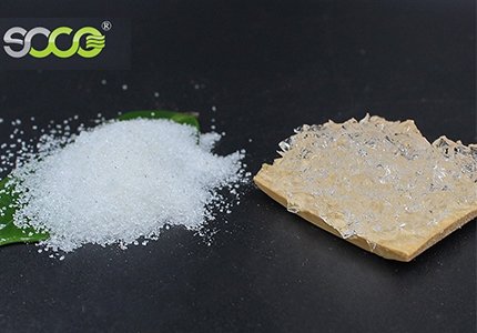 Eucalyptus Cultivation Hydrogel