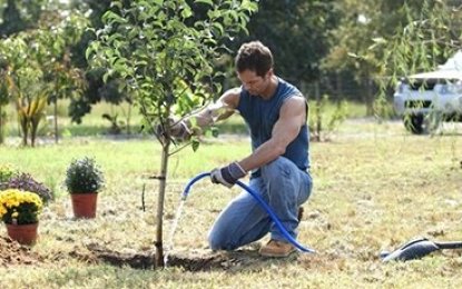 Exceptional Water Absorption