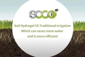 Soil Hydrogel VS Traditional Irrigation——Which can saves more water and is more efficient?