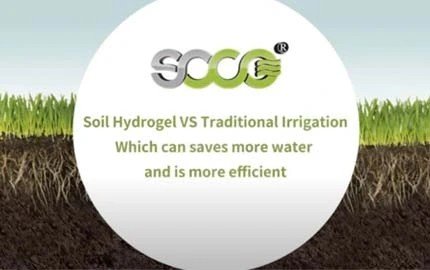 Soil Hydrogel VS Traditional Irrigation——Which can saves more water and is more efficient?