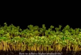 SOCO® Hydrogel | Increase Yield by 30%!