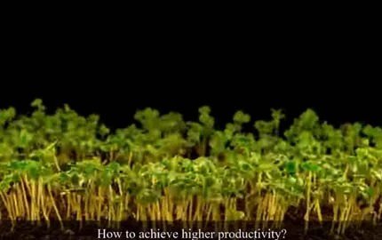 SOCO® Hydrogel | Increase Yield by 30%!