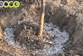 SOCO Polymer Wet Application of Water Retaining Agent for Ornamental Trees