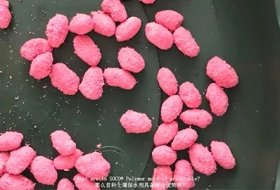 Do You Know How the Seeds Are Coated? -Water Absorbent Polymer