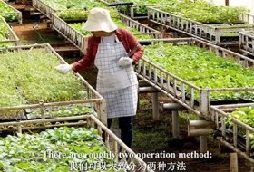 Brief User Guide of SOCO SAP Polymer