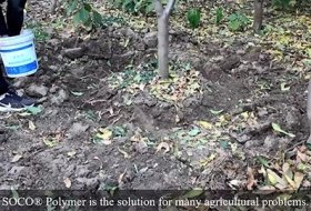 Water Absorbent Polymer-SOCO Polymer