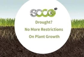 Drought? No More Restrictions On Plant Growth