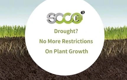 Drought? No More Restrictions On Plant Growth