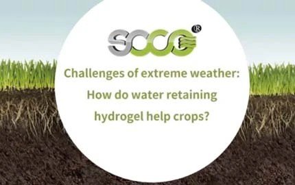 Challenges of extreme weather: How do water retainers help crops cope?