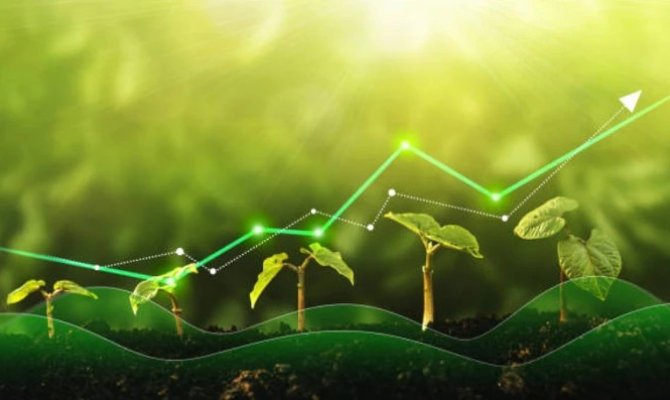 ​Soil Health Enhancement