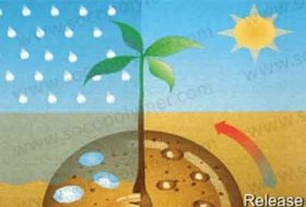 Impact of Hydrogel Polymer in Agricultural Sector