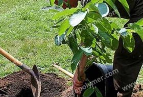 High Water Absorption Hydrogel