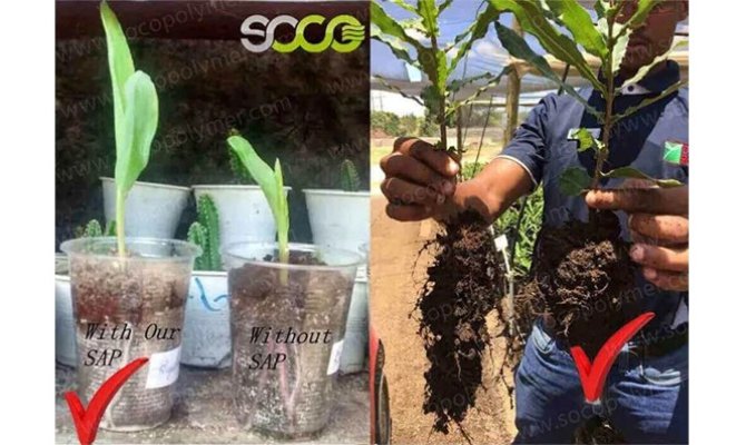 Customized Agricultural Solutions