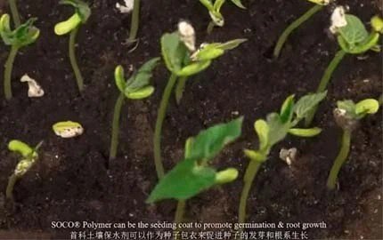 Super absorbent polymer used in agriculture