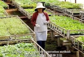 Brief User Guide of SOCO® SAP Polymer