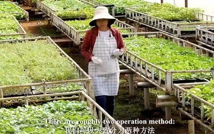 Brief User Guide of SOCO® SAP Polymer