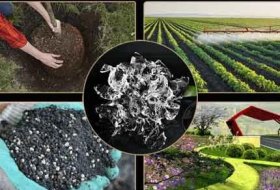 Agricultural Hydrogel – Potassium Polyacrylate