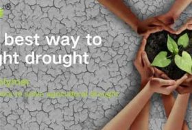 What is the Best Way to Fight Drought?