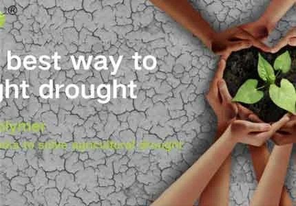 What is the Best Way to Fight Drought?