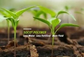 Study on the Interaction Mechanism of SAP and Fertilizer an Soil