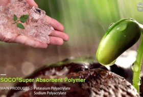 SOCO Water Retaining Agent in Oats Planting