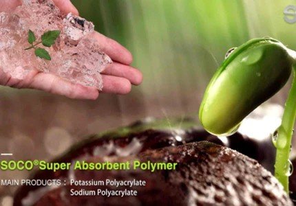 SOCO Water Retaining Agent in Oats Planting