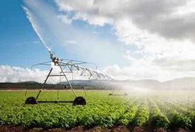 Gardening with Hydrogel Crystals