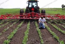 Hydrogel For Agriculture Advantages