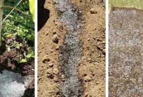 Effects of Agricultural Hidrogel