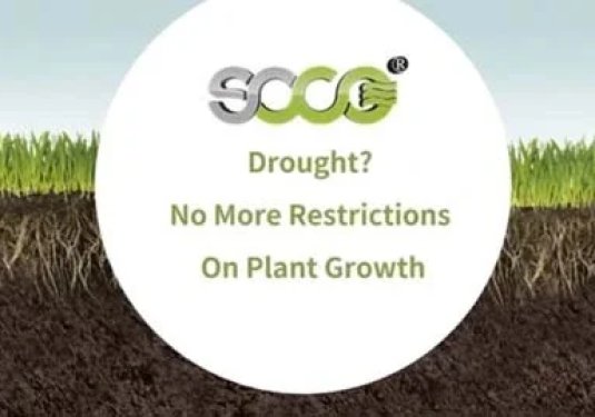 Drought? No More Restrictions On Plant Growth