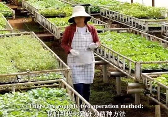 Brief User Guide of SOCO® SAP Polymer