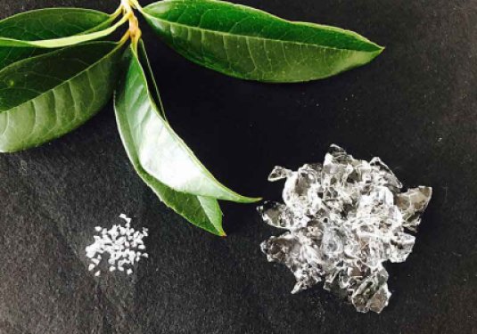 How Super Absorbent Polymer (SAP) Improves Fruit Tree Yields?