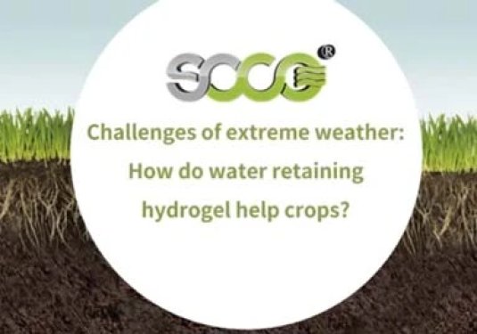 Soil Hydrogel VS Traditional Irrigation——Which can saves more water and is more efficient?