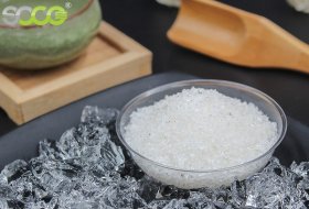 What Is Eucalyptus Cultivation Hydrogel and Why Is It Essential for Plantation Success?