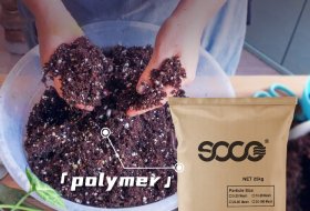 How Can Agricultural Hydrogel Polymers Help Save Water and Boost Crop Yields?