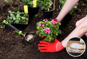 Why SOCO Hydrogel (Agriculture SAP) Is Essential for Water-Smart, High-Yield Farming