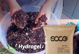 How Can Agriculture hydrogel Enhance Crop Yield and Water Efficiency?