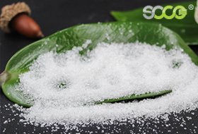 What Is Consumer SAP and How Does It Improve Animal Care?