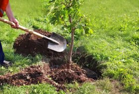 What Is Agriculture Hydrogel, How Does It Help Crops, and Which SOCO Grade Fits Your Soil?