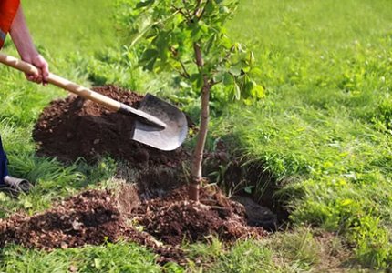 What Is Agriculture Hydrogel, How Does It Help Crops, and Which SOCO Grade Fits Your Soil?