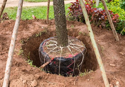 What Are Agricultural Hydrogels, How Do They Work, and Where Do They Deliver the Biggest Sustainability Gains?