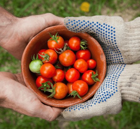Building a Resilient Agricultural Future