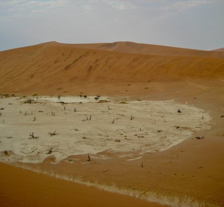 Enhance One-time Survival