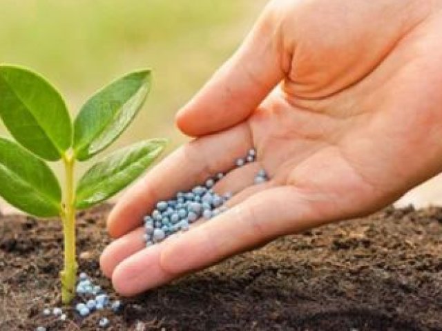 Fertilizer Efficiency