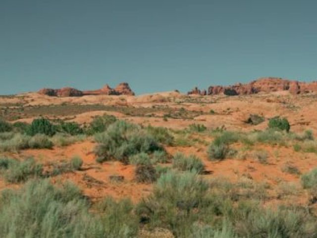 Desert Planting Efficiency