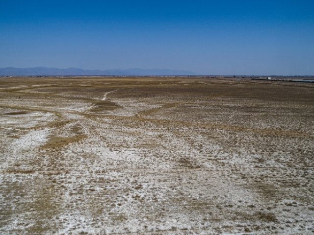 Salt and Alkali Resistance