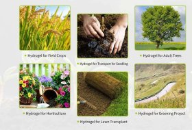 What is the SAP++ Solution?