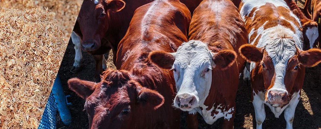 Consumer HydrogelAnimal Litter